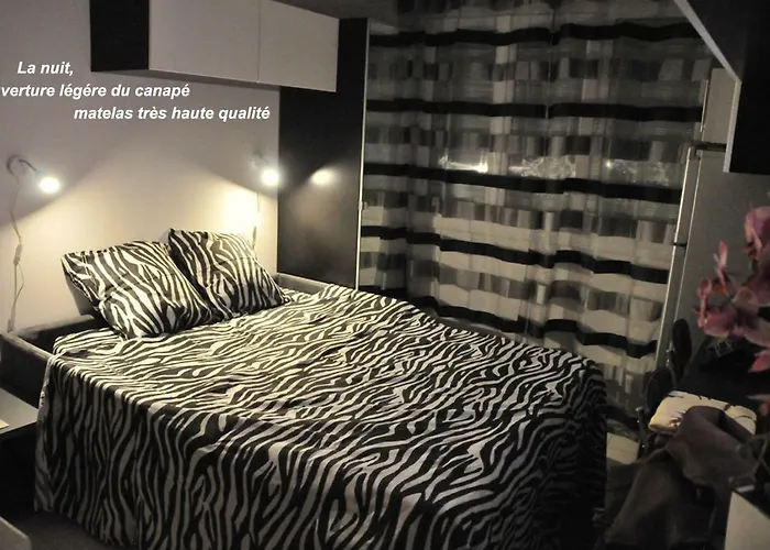 Studio Croisette Martinez Apartamento